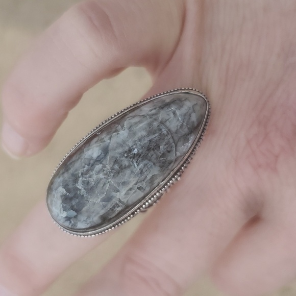 New Oversized Orthoceras Fossil Antique Design 925 Silver Statement Ring. - Picture 13 of 14